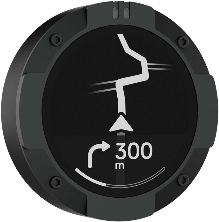 Beeline Moto 2 (1.45")