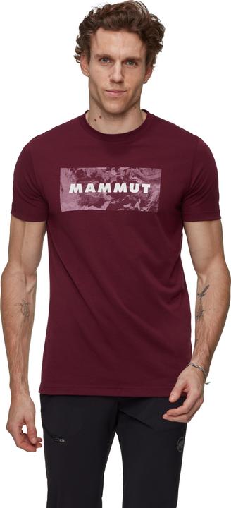 Immagine prodotto Mammut Trovat T-Shirt Men Logo (M)