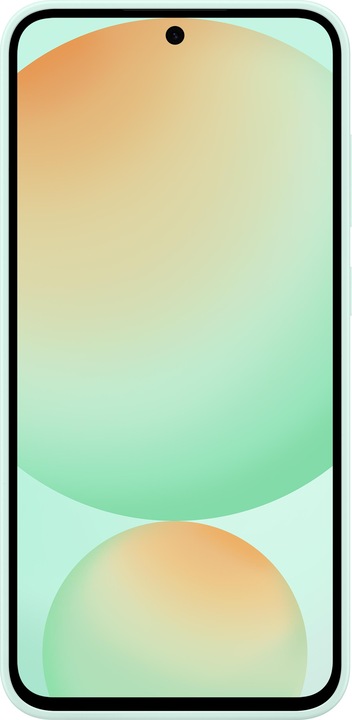 Actual product image Samsung Silicone Case (Samsung Galaxy S24 FE)