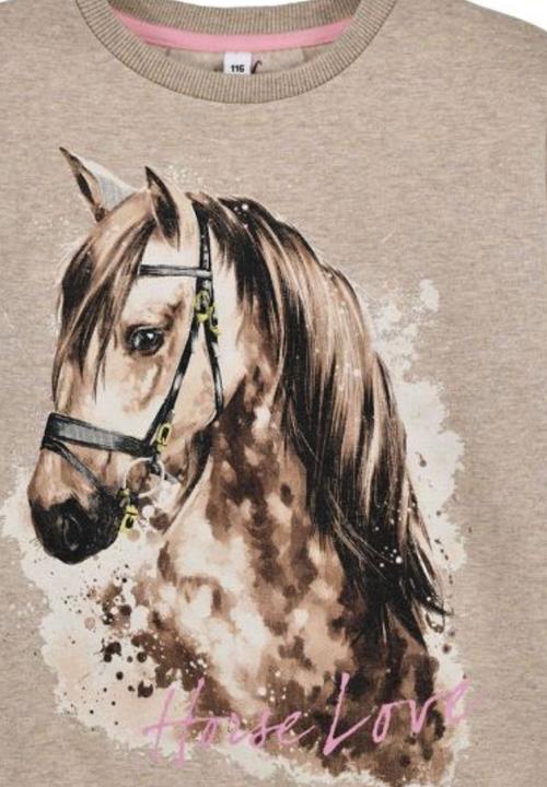 Image du produit Bondi Pull cheval (92)