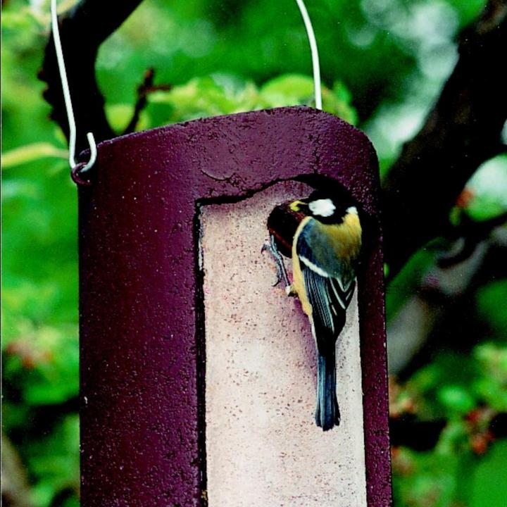 Produktbild Schwegler Nisthöhle