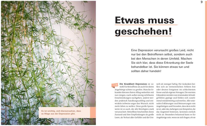 Image du produit Depression. Das Richtige tun (Allemand, Dr. Christine Hutterer, Prof. Dr Christine Rummel-Kluge, 2020)