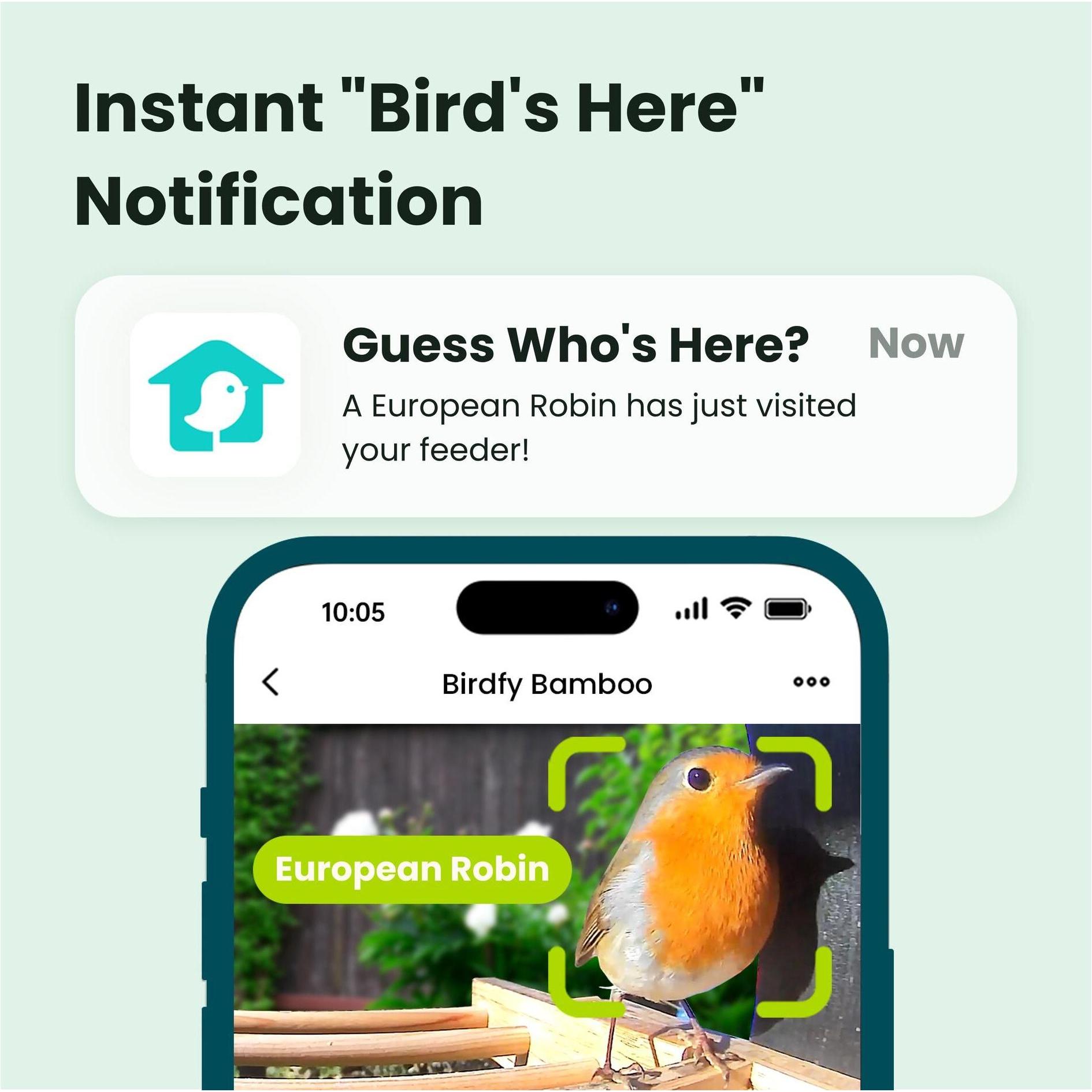 Birdfy Schwarz Vogelhaus Mit Kamera 1080P, Vogelhaus