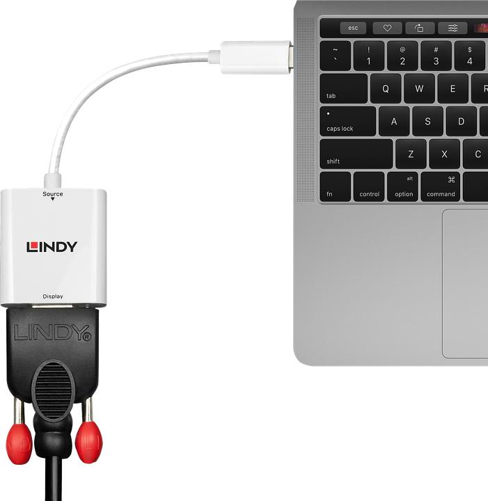 Image du produit Lindy USB de type C vers (VGA, 17 cm)