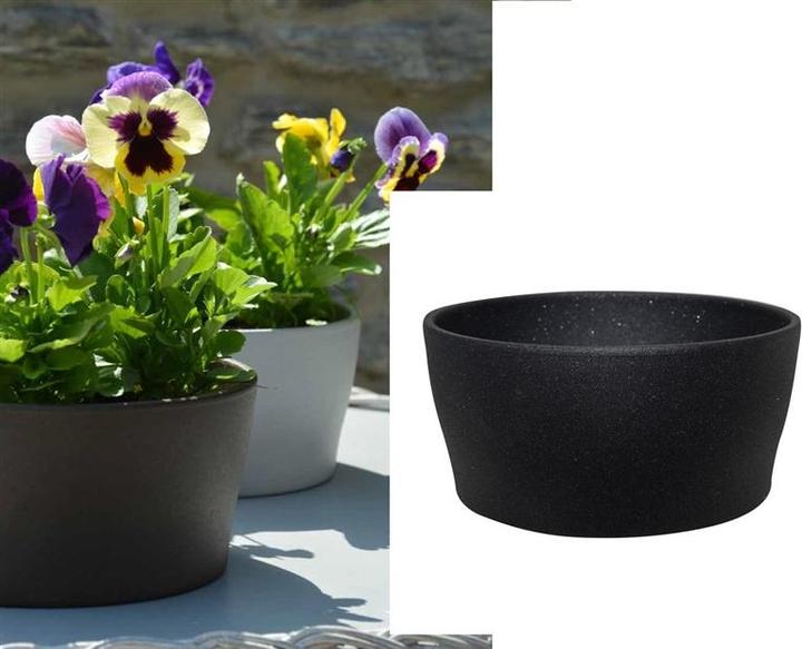 Produktbild Domoletti Misa (19 x 9 cm)