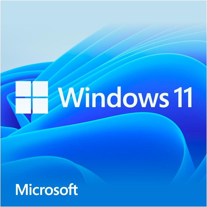 Image du produit Microsoft Windows 11 Home (FR) (1 Utilisateur, Illimité)