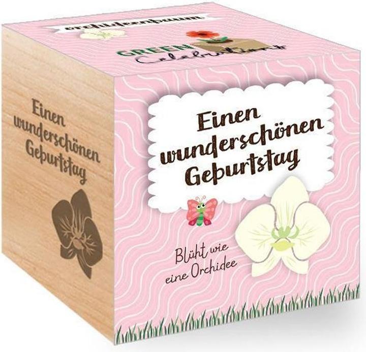 Image du produit Feel Green Célébrations vertes - Orchidée