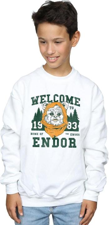 Image du produit Star Wars - Sweat ENDOR CAMP - Garçon (140, 146)