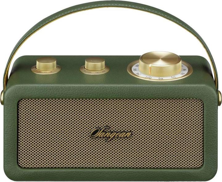 Image du produit Sangean RA-101 Radio à piles FM Bluetooth®, AUX rechargeable Vert, Or (FM, Bluetooth)