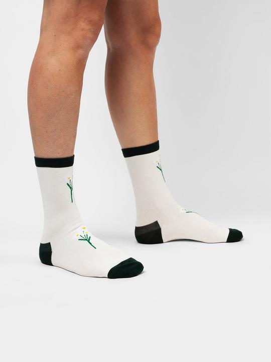 Produktbild DillySocks Daisies (Einzelpack, 39 - 41)