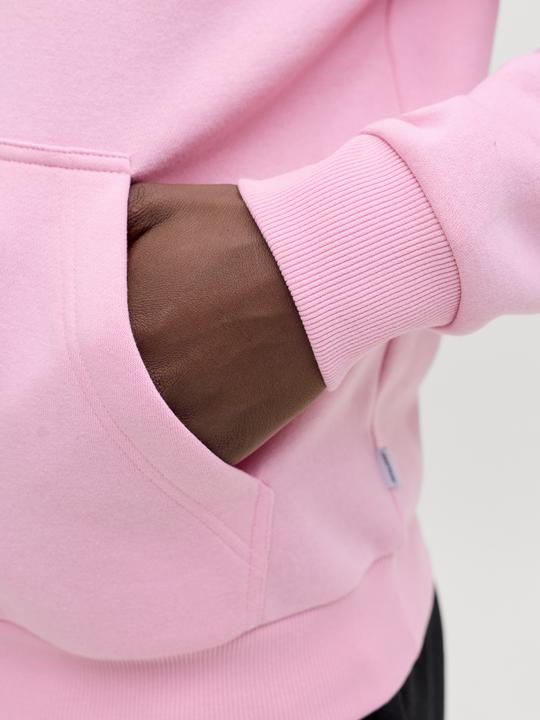 Produktbild Jack & Jones Jjebradley Sweat Hood Noos (S)