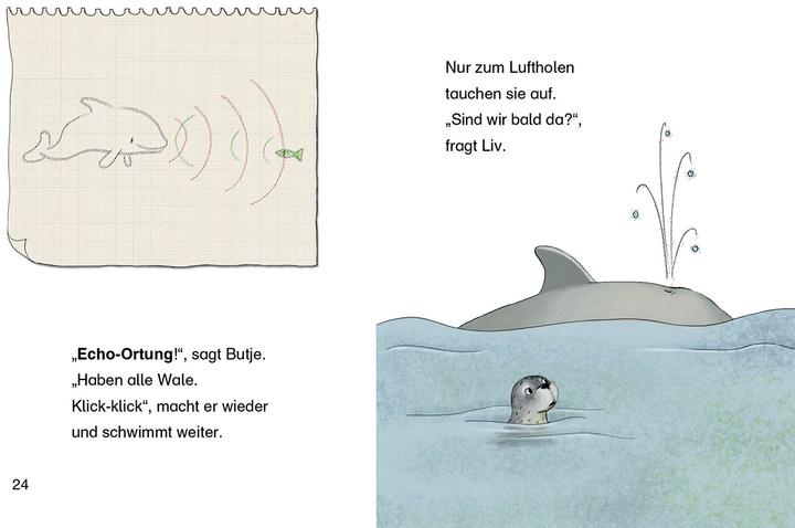 Produktbild Leselöwen 1. Klasse - Der kleine Seehund findet einen Freund (Deutsch, Anna Taube, 2018)