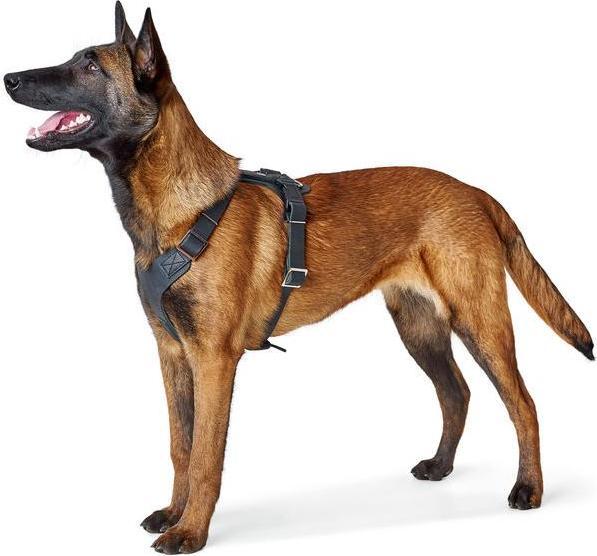 Produktbild Hunter Geschirr Aalborg (2, Hund, Allgemein)