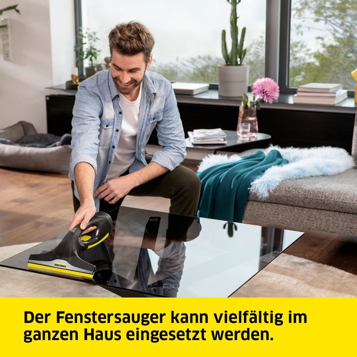 Actual product image Kärcher Wv 2
