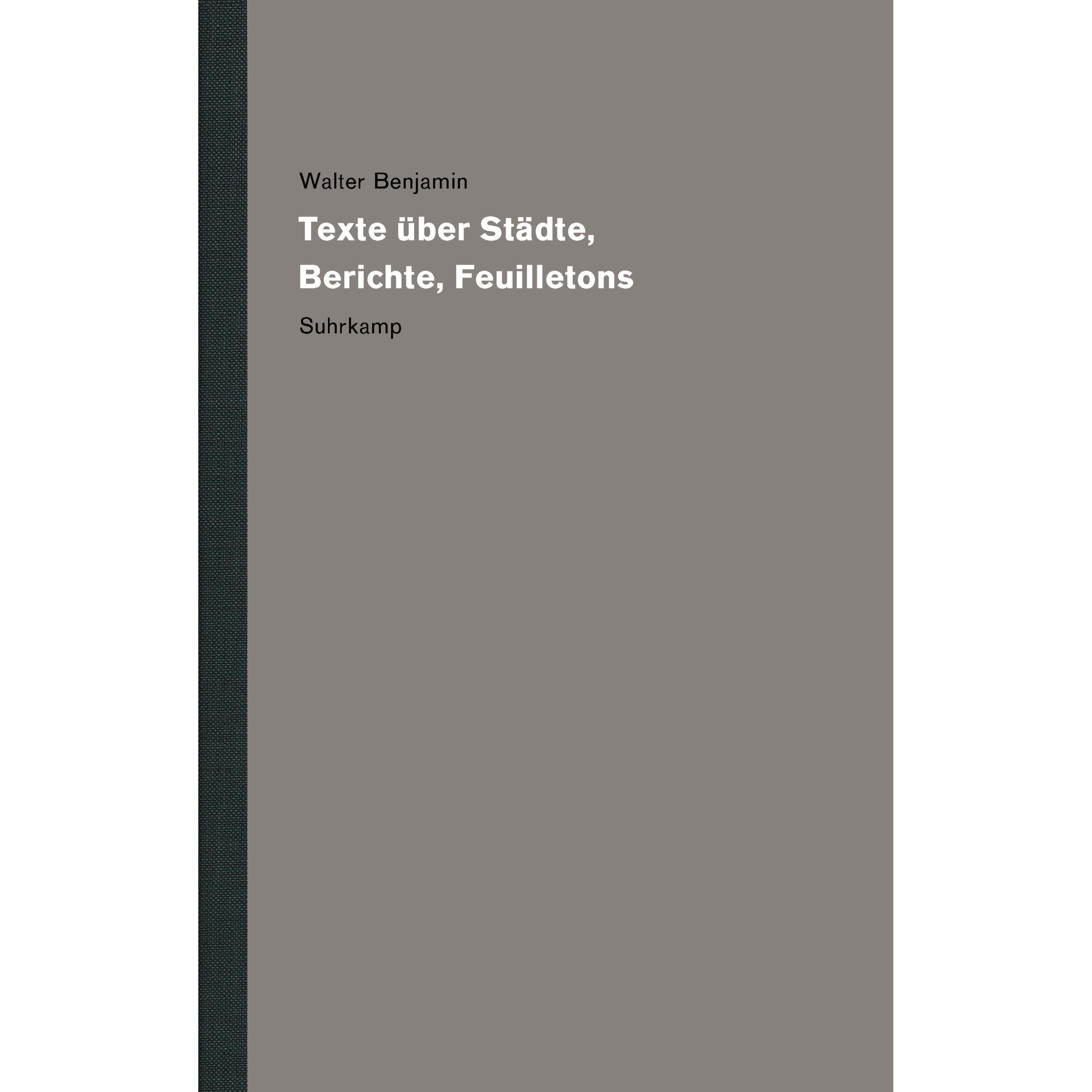 Werke und Nachlass. Kritische Gesamtausgabe, Fachbücher von Walter Benjamin