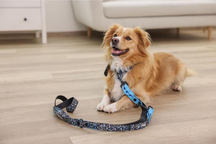 Produktbild Kerbl Halsband Lima (25, Hund, Allgemein)