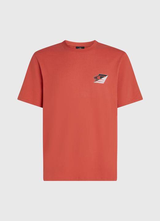 Actual product image O'Neill Re-Issue Graphic T-Shirt (S)