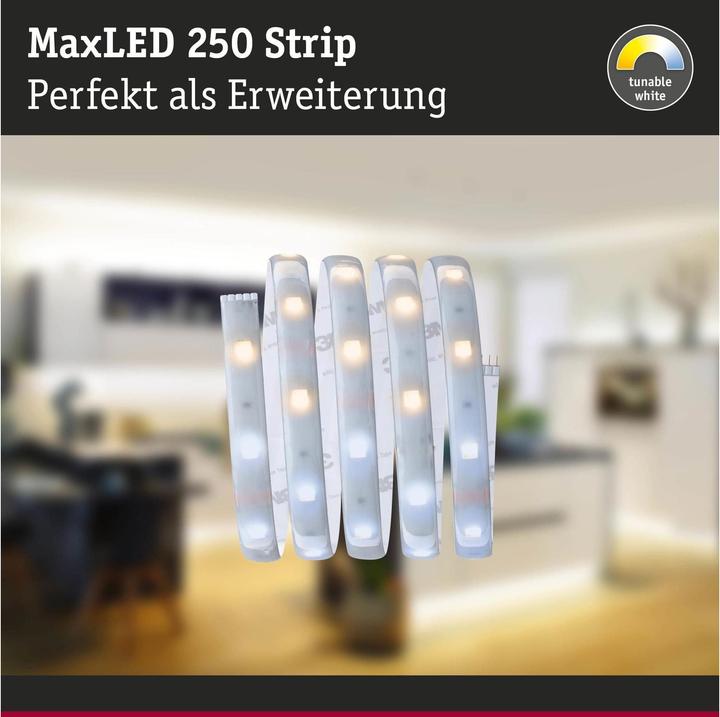 Produktbild Paulmann MaxLED 250 Stripe (Warmweiss, Neutralweiss, Kaltweiss, 100 cm, Indoor)