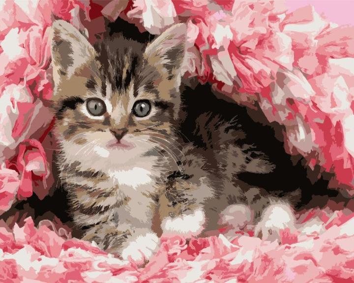 Actual product image Figured'Art Paint by Numbers framed - Cute Cat