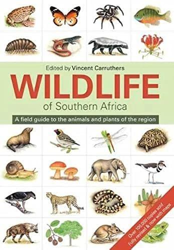 Produktbild The wildlife of South Africa (Englisch)