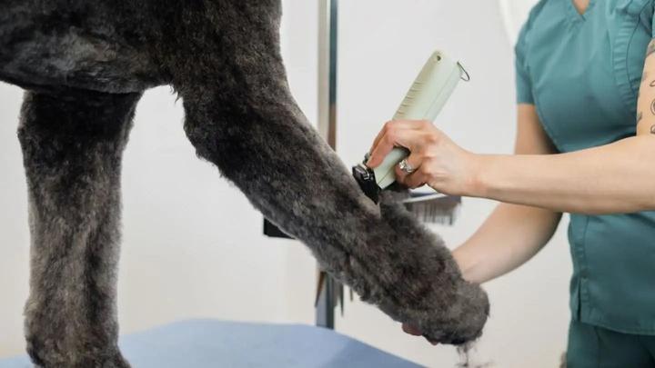 Actual product image Wahl KMC+ Kabel-/Kabelloser Trimmer