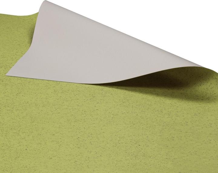 Immagine prodotto Karat Mira 550M