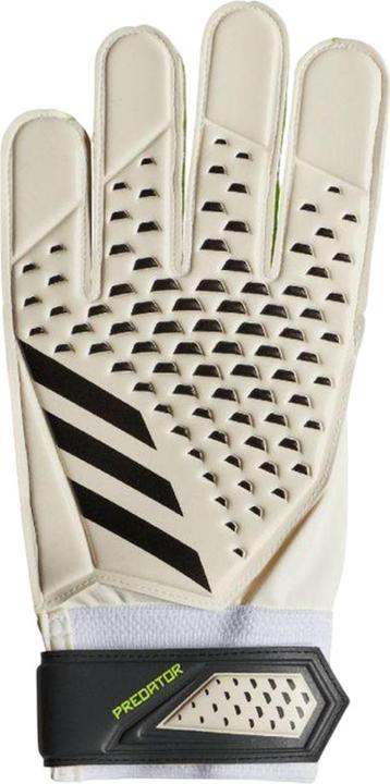Produktbild Adidas Predator TorhüterHandschuhe Training (11)