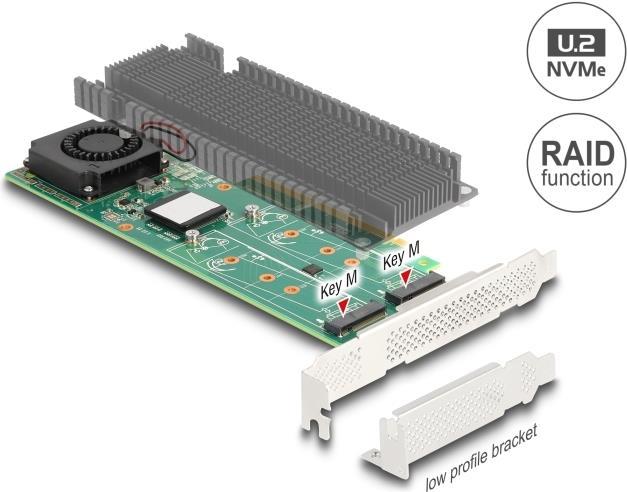 Productafbeelding Delock PCI Express x8 kaart naar 2 x interne NVMe M.2 Key M met