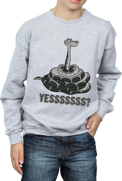Actual product image Disney Boys The Jungle Book Kaa Yesssss Sweatshirt (116)