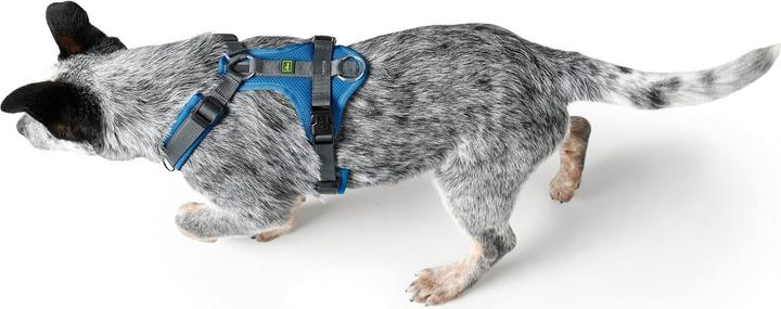 Image du produit Hunter Maldon Up (XS, Chien, Général)