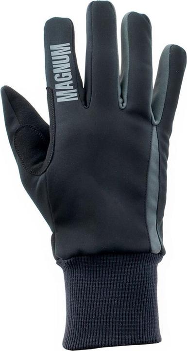 Produktbild Logo Winterhandschuhe Hawk (L)