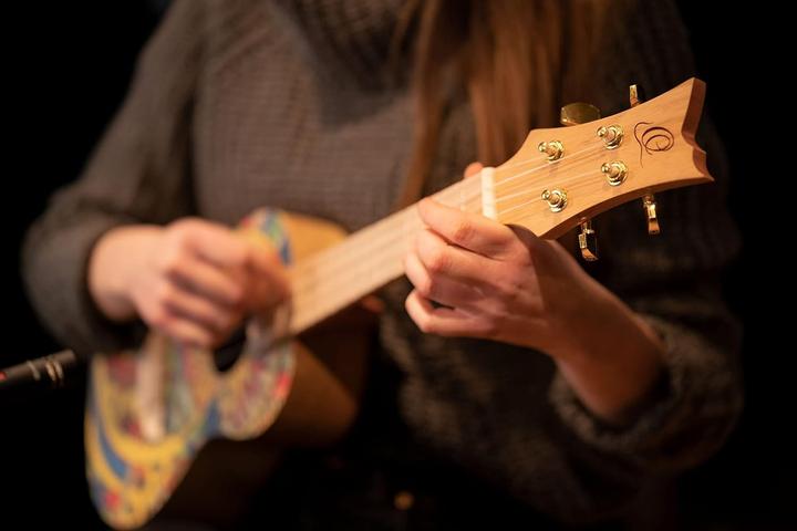 Actual product image Ortega Art Series (Concert)