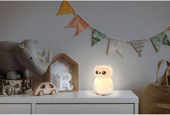 Actual product image Ansmann Owl night light