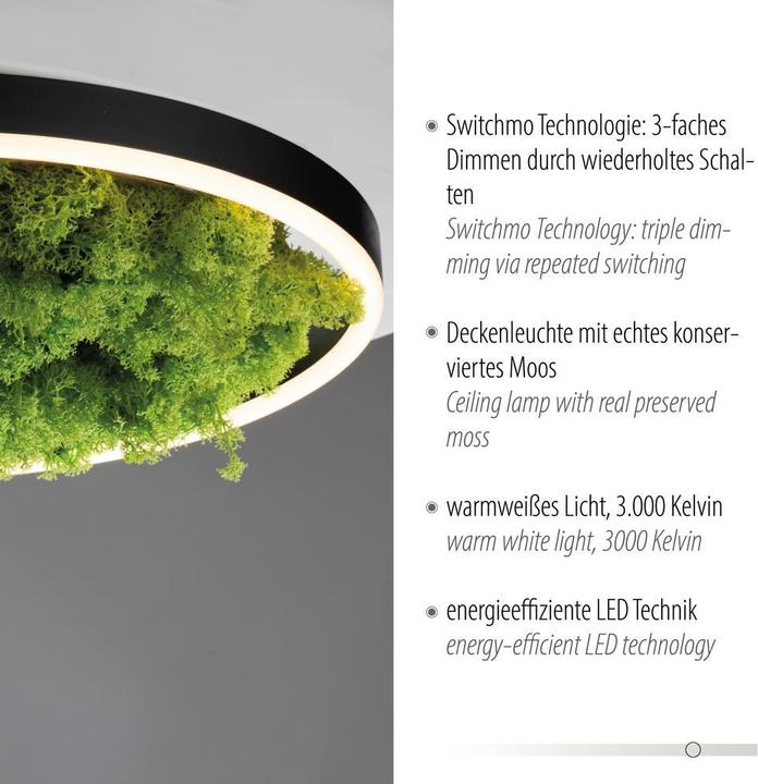 Immagine prodotto Leuchten Direkt Rito Verde (2650 lm)