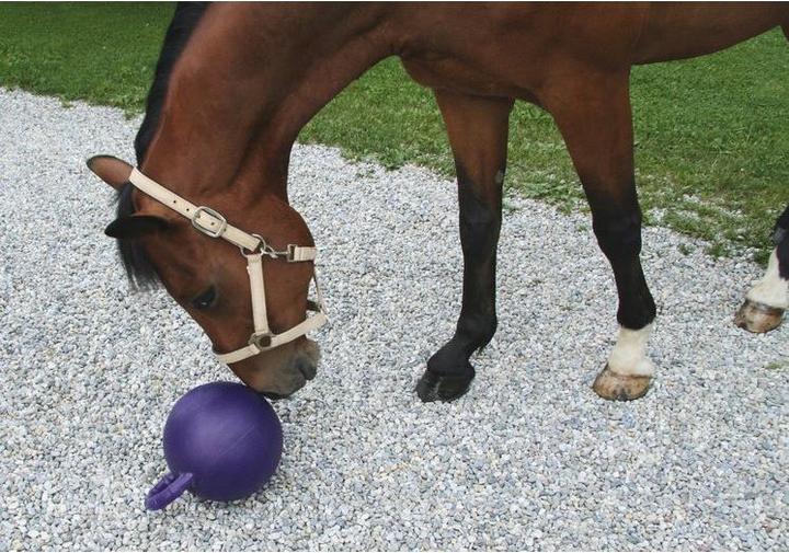 Produktbild Kerbl Pferdespielball
