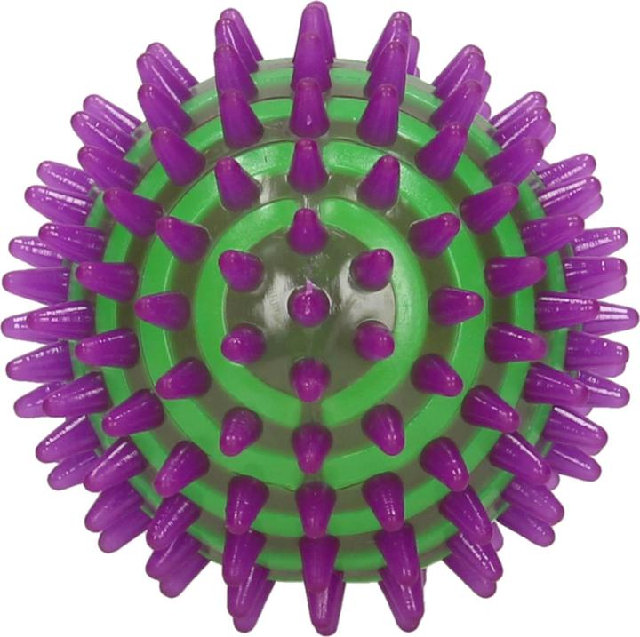 Immagine prodotto Van Manen Veenendaal Spikey a forma di calabrone saltellante con luce