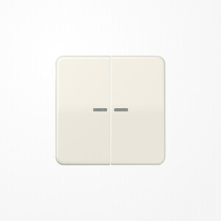 Actual product image JUNG Rocker 2t Switch CD ws glz Light off CD595KO5