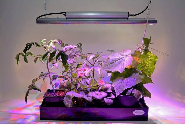 Actual product image Parus by Venso plant fitting GrowLight Quattro 30W, stimulation of photosynthesis and chlorophyll fo (LED, 230 V)
