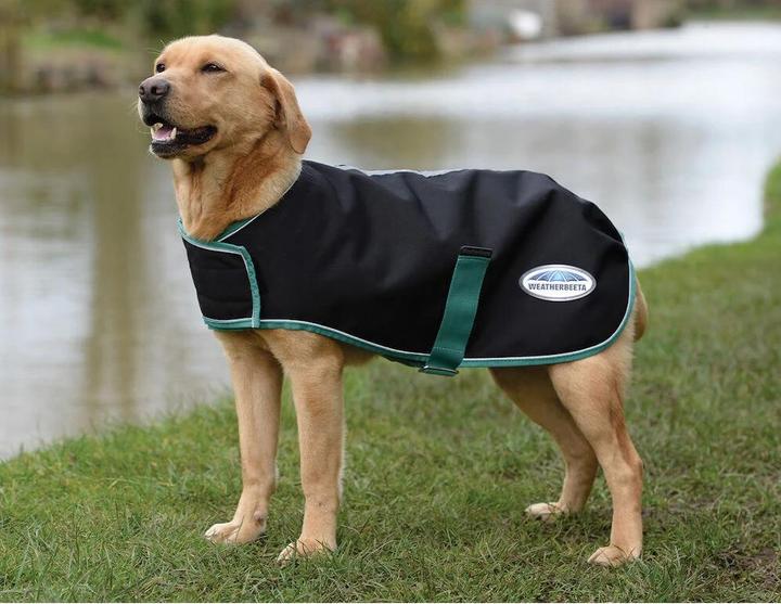 Weatherbeeta Green-Tec Lite Plus (30, Dog coat)