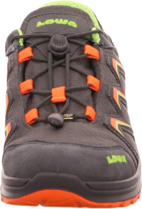 Actual product image Lowa Low shoes (28)