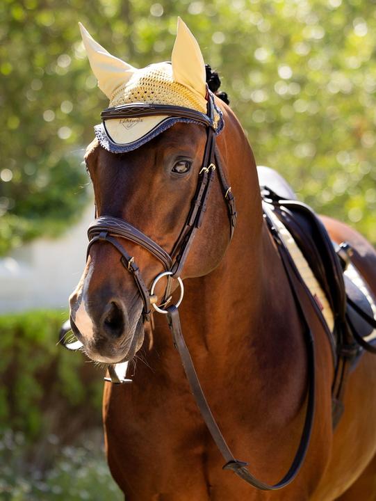 Actual product image LeMieux Classic