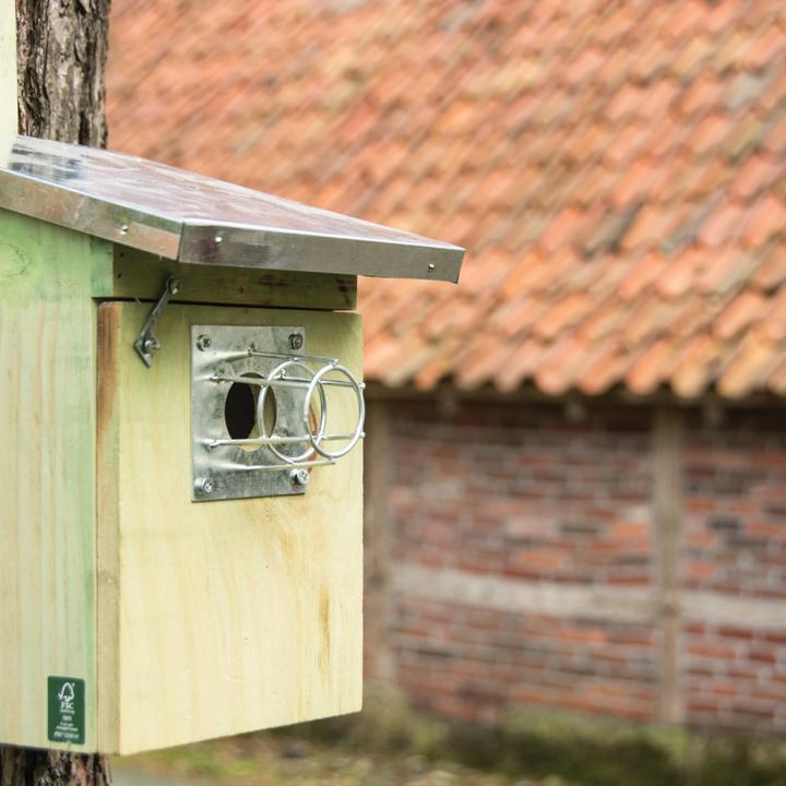 Immagine prodotto Westfalia Cassetta nido per cinciallegre