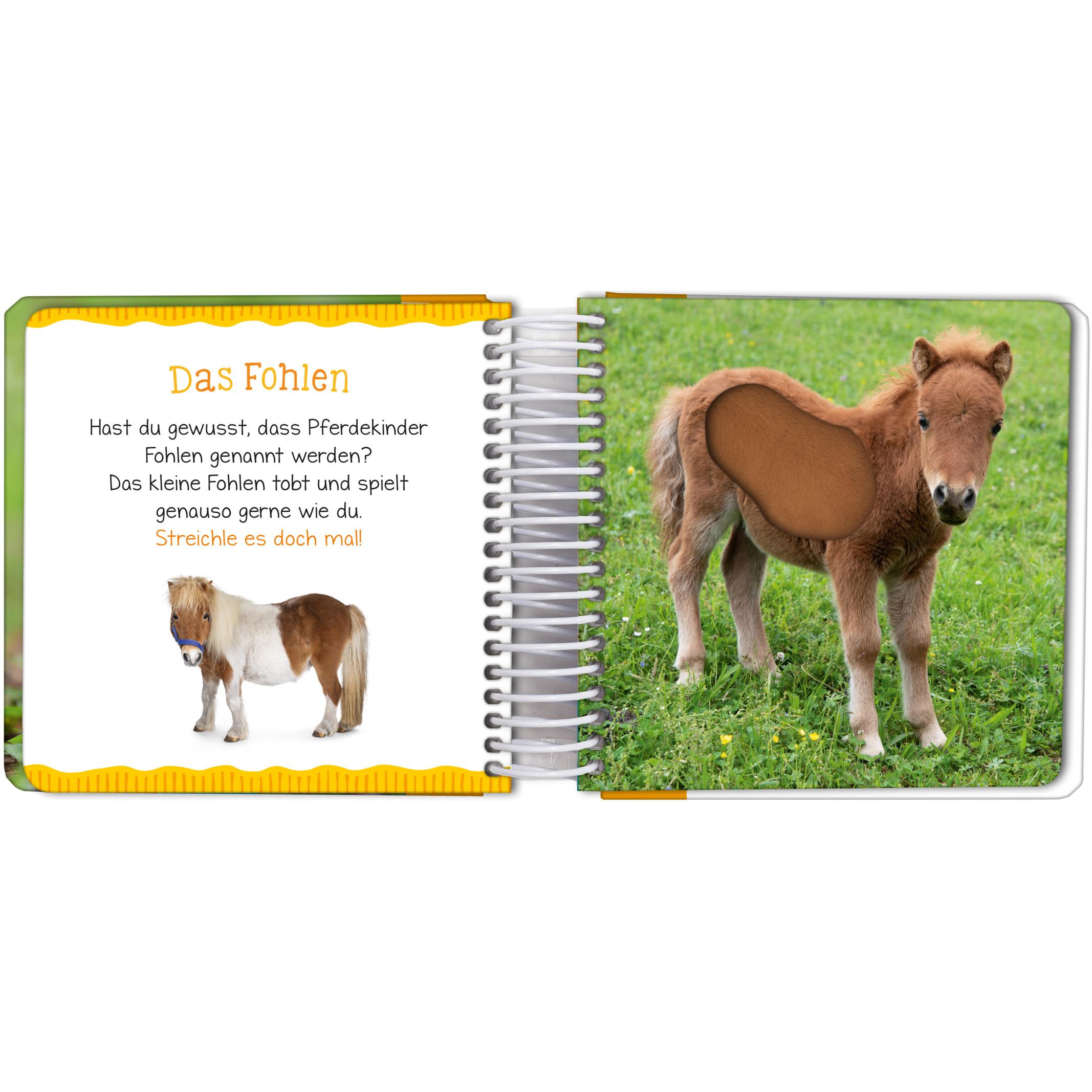 Thumbnail - Mein grosses Streichelbuch - Bauernhoftiere, Kinderbücher von Ars Edition