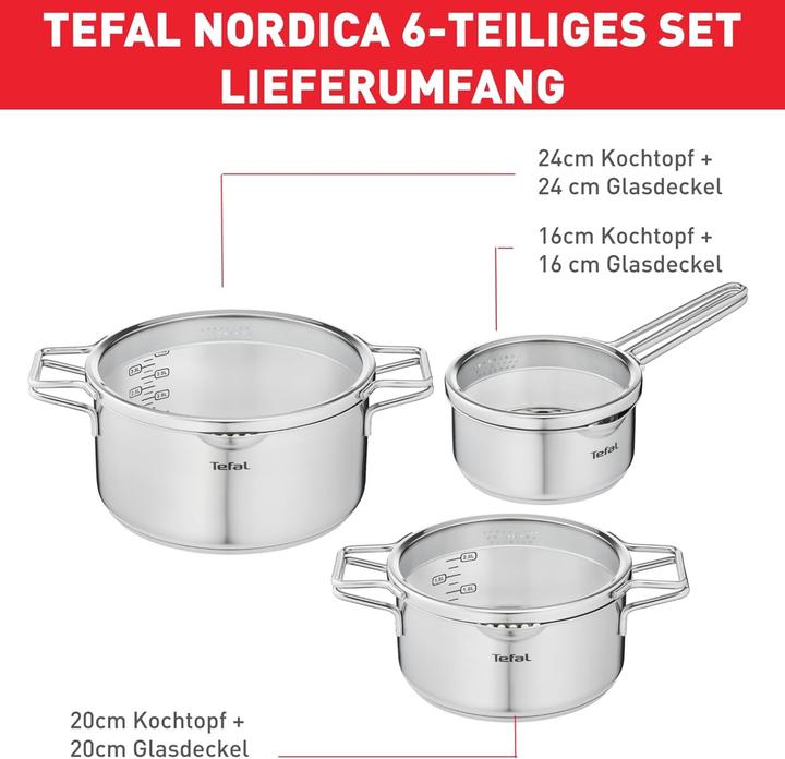 Actual product image Tefal Nordica Topfset, 6-teilig (Pot, Stainless steel)