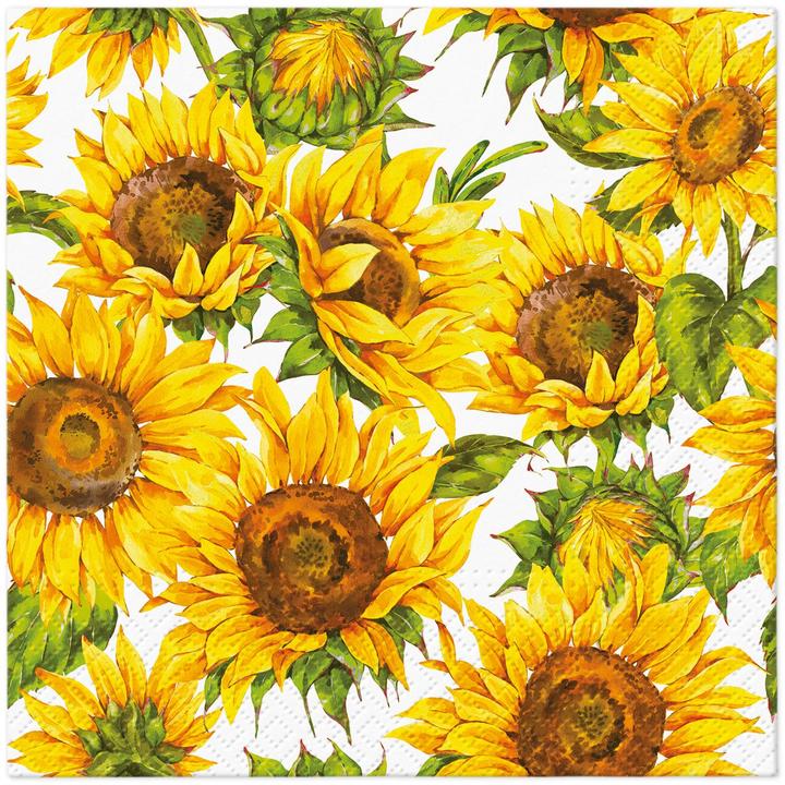 Immagine prodotto PAW Decor Collection Girasoli danzanti (20 x, 33 x 33 cm)