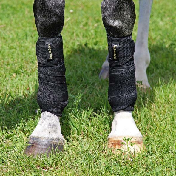 Immagine prodotto Back on Track Strisce