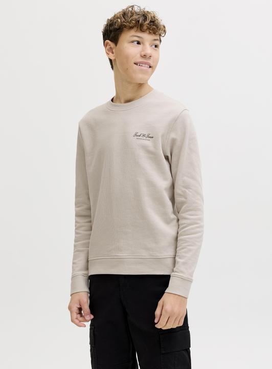 Produktbild Jack & Jones Jjearchive Graphic Sweat Cn Sn Jnr (128)