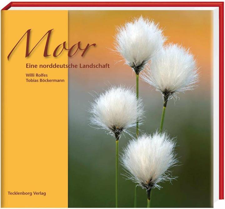 Produktbild Moor (Deutsch, Tobias Böckermann, Willi Rolfes, 2009)