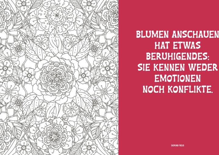 Immagine prodotto Colorful Mandala – Botanischer Garten