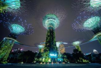 Image du produit Venus Optic Focale fixe 14 mm F/4 Zero-D DSLR (Canon EF, Plein format)